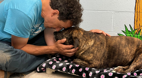 'Miracle' Dog Found Alive In Underground Virginia Cave