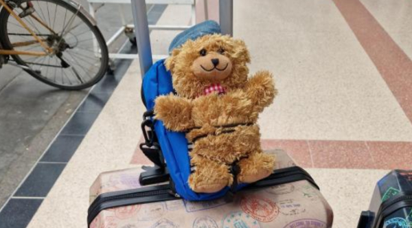 5-Year-Old's Beloved Teddy Bear Lost 4,200 Miles Away At Disney World Miraculously Returned