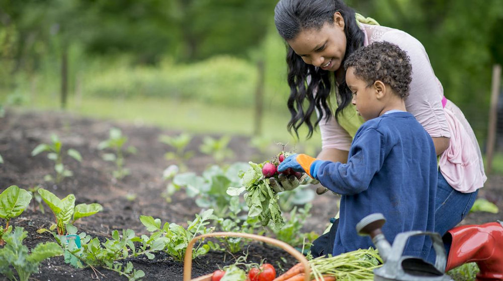 Five Essential Family Gardening Tips