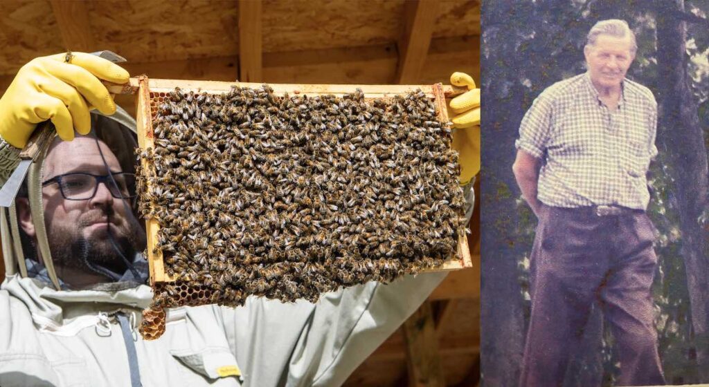 Beekeeper Finds Grandfather’s Long-Lost Hives Thriving in Quarry–and Turns Them into a Colony of Millions