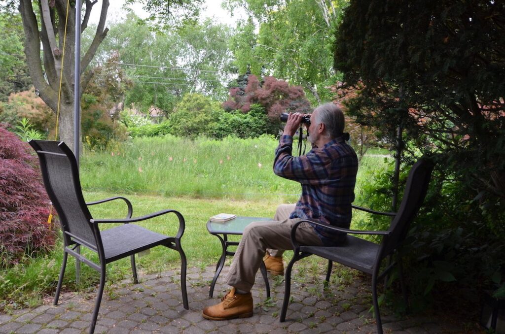 Canadian gardener challenges his city’s ‘outdated’ weed-whacking ways