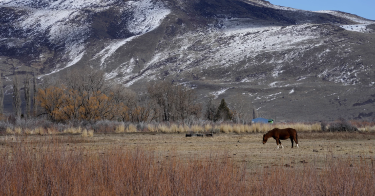 3 Nevada-focused Indigenous bills headed to US Senate