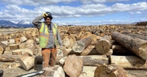A crewmember wearing a hard hat and gloves is holding a big chunk of wood at a heavy-duty machine. Large cuts of wood are scattered around him.