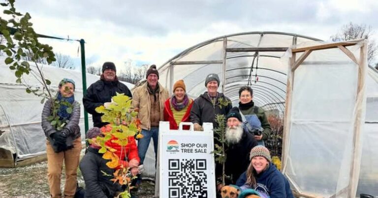 Helene took down Asheville's trees. These organizations are partnering to replant them.