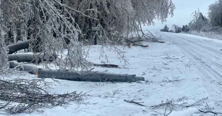 Whitmer signs bill to forgive school days lost to ice storms