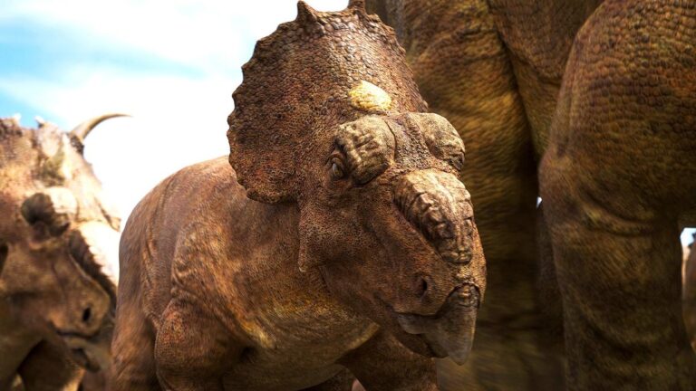 Episode 5 Preview | Watch on PBS Wisconsin