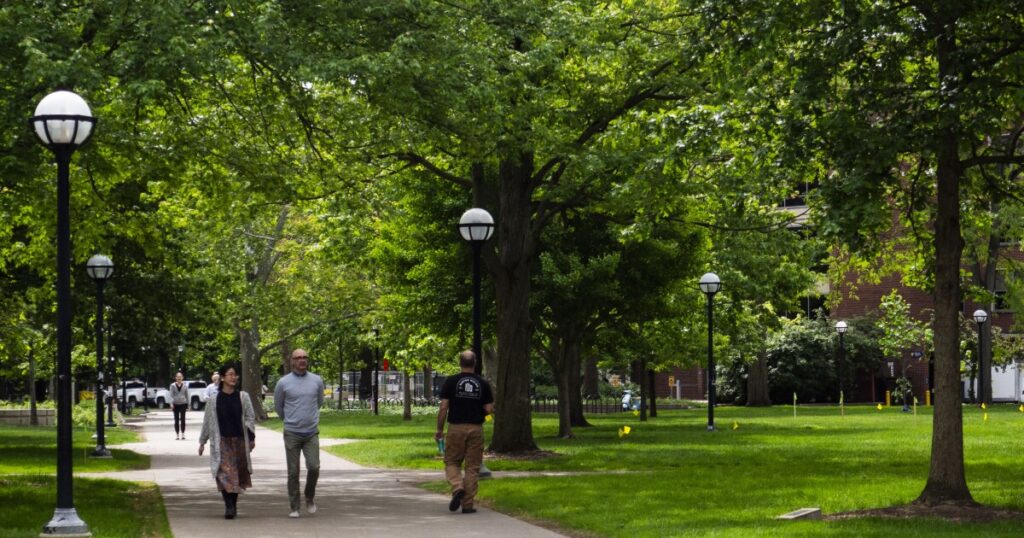 UM will offer early decision applications, a binding agreement with first-year students