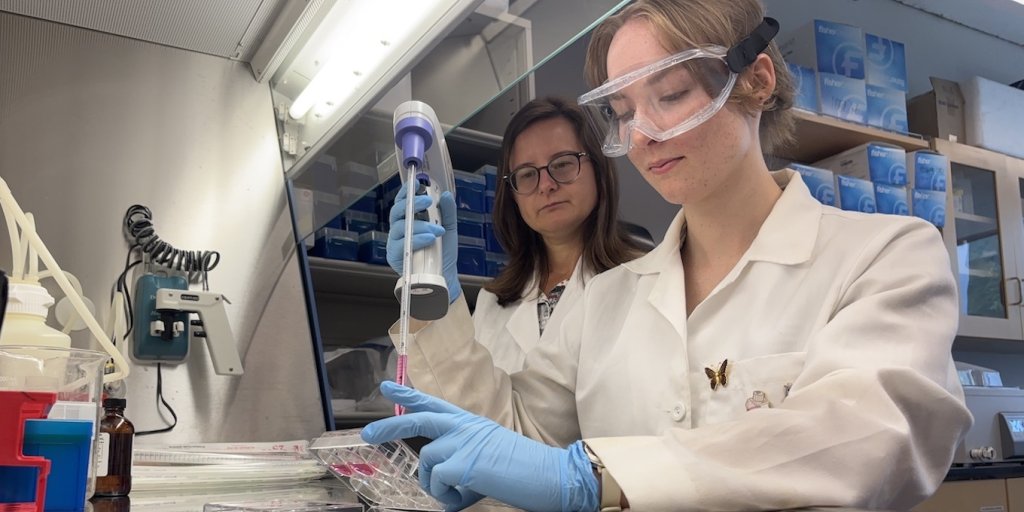 A mentorship that yields promising results