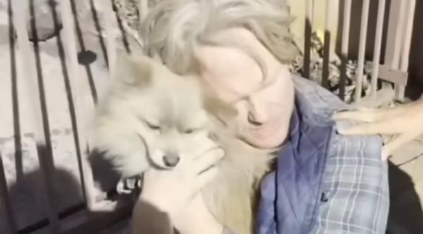 Viral Dog Video Sparks Law To Save Pets In Emergencies