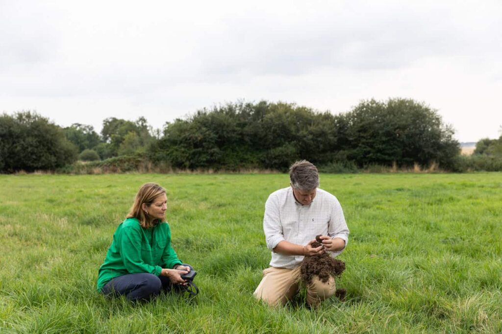 ‘We found 23,000 worms!’ The soil project bringing life back to the land