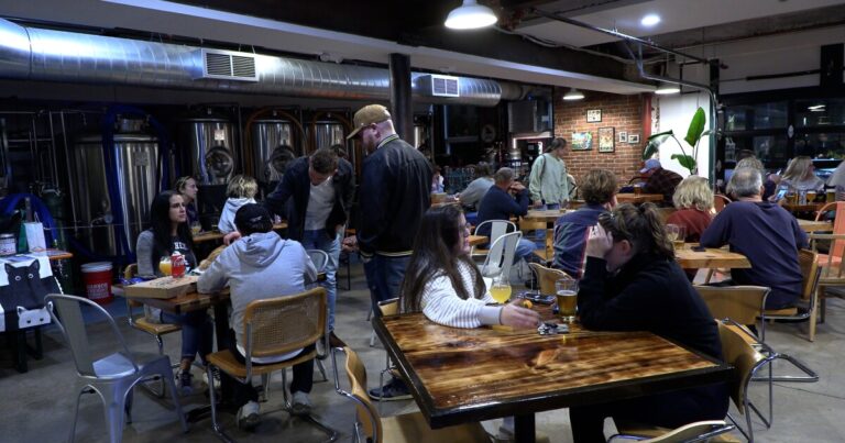 Cat owners enjoy beers with their feline friends at Blind Cat Beer Co.'s monthly "Catty Hour" event.