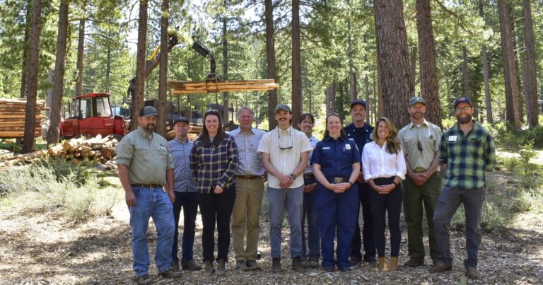 $8 million secured to boost forest health and wildfire resilience in the Truckee region