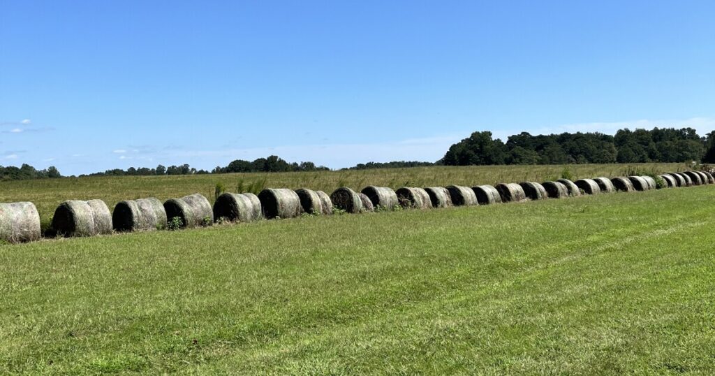 Commissioner Link calls for moratorium on data centers after potential hyperscale project denied