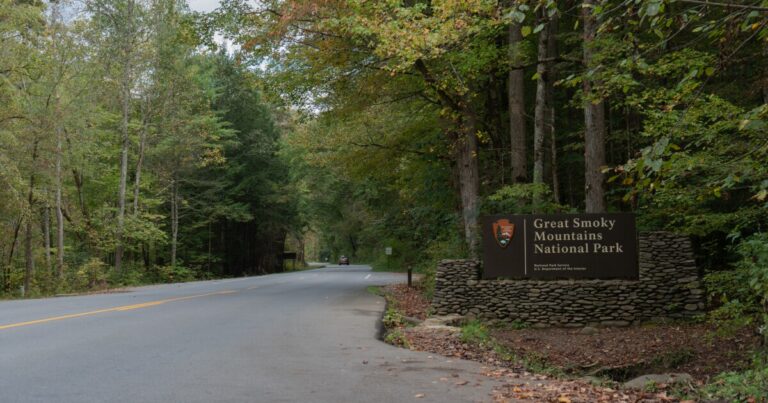 Despite federal shutdown, local and state funds keep Great Smoky Mountains National Park open