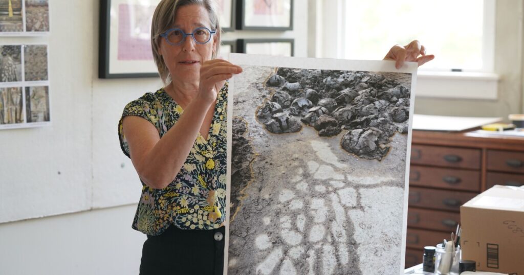 Marshall artist’s project hopes to help residents heal a year after Helene