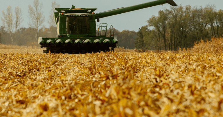 PSC temporarily suspends Omaha grain dealer's license