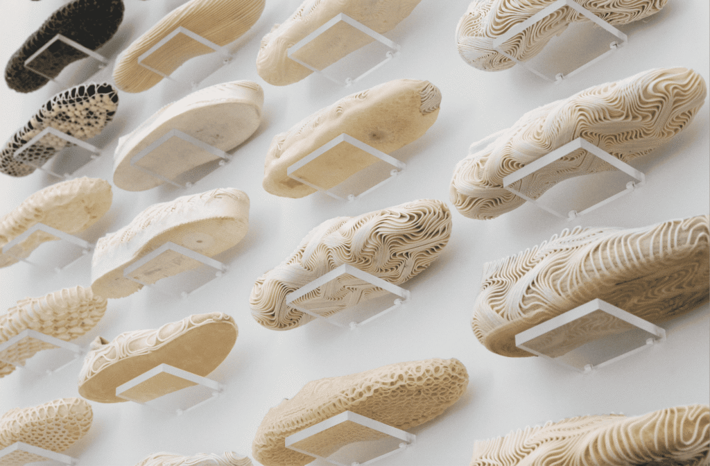 Step forward the ‘fully biodegradable’ shoe that leaves no footprint