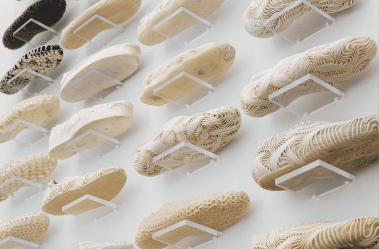 Step forward the ‘fully biodegradable’ shoe that leaves no footprint