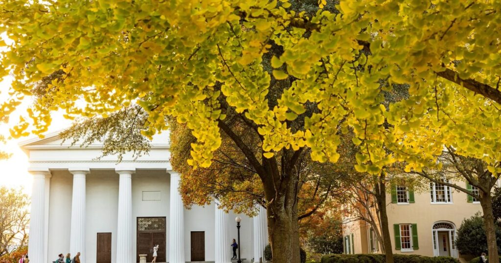 UGA to kick off Spotlight on the Arts celebration with poetry festival