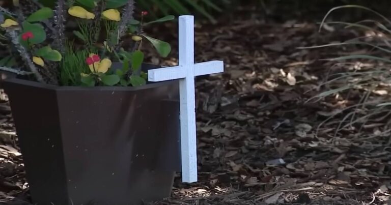 tiny cross lawsuit florida