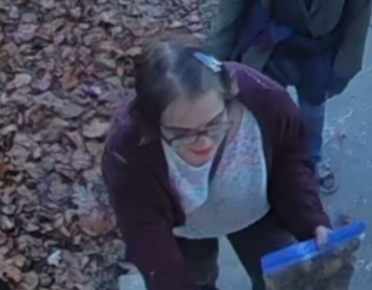 A person with glasses and a hair clip is holding a blue container while standing near a pile of fallen leaves on a sidewalk.
