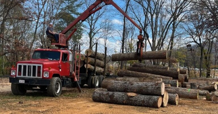 Lawsuit alleges Forest Service timber sale near the Nolichucky River may be illegal
