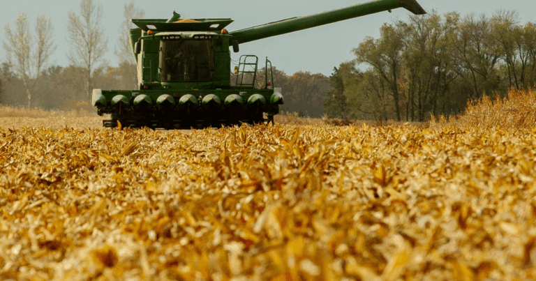 Nebraska net farm income projected to increase by 42% in 2025
