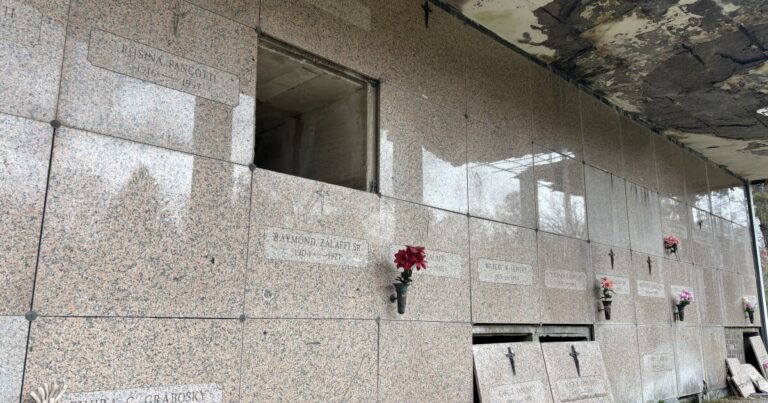 Ava Petersen speaks at the Nov. 13 Plains Twp. Commissioners meeting. Petersen has volunteered at the neglected Good Shepherd Memorial Park and is writing a book about it and other neglected cemeteries.