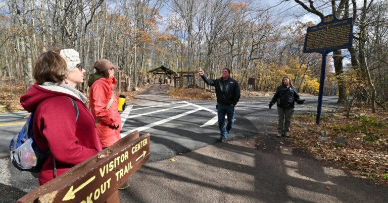 Organization calls on Pa. officials to make animal crossings