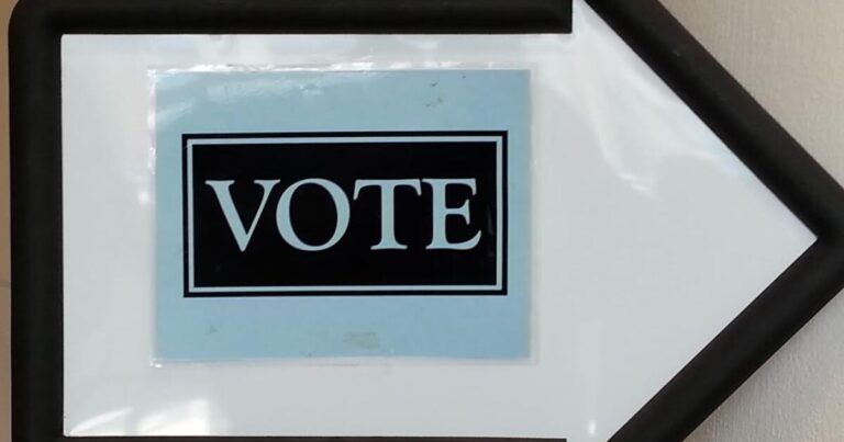 Recounts called for several Piedmont elections