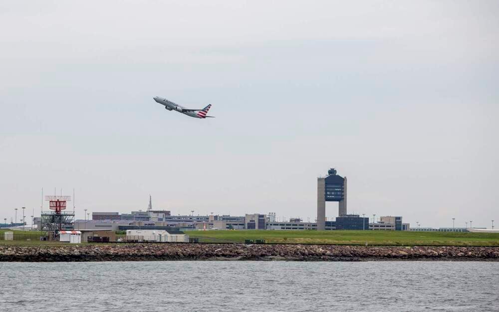 An American Airlines flight takes off at Logan Airport on August 7, 2017.(Jesse Costa/WBUR)