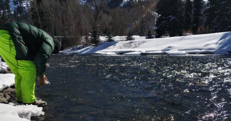 Western rivers may be pulling carbon from the atmosphere, surprising scientists