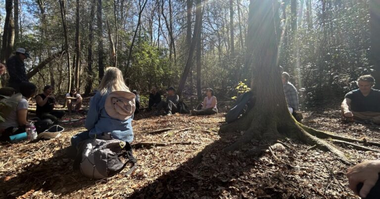 Asheville’s Urban Forest Master Plan is getting re-booted