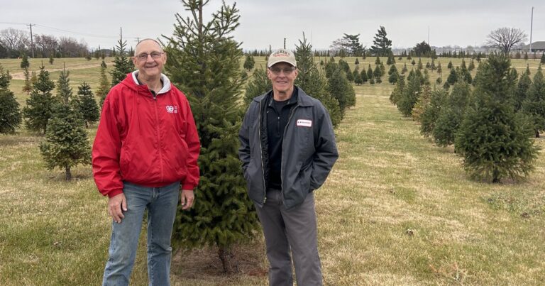 What goes into growing the perfect Christmas tree? For one family, it's teamwork and tradition