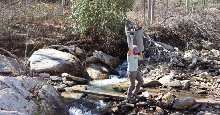 Donovan Green looking at what could be part of a car in a huge pileup on Nov. 12, 2025