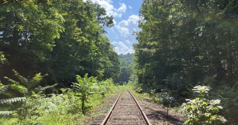 The Chappells speak with participants at a Saluda Grade Trail community engagement event in Landrum, S.C., on November 18, 2025.