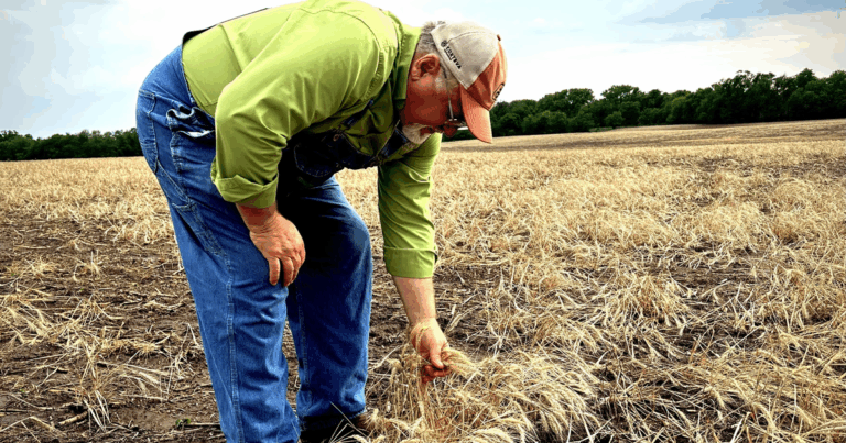 Trump administration announces $12 billion bailout to farmers amid tariff hikes