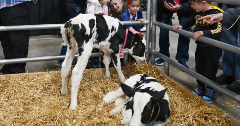 Fun and food with a wider purpose