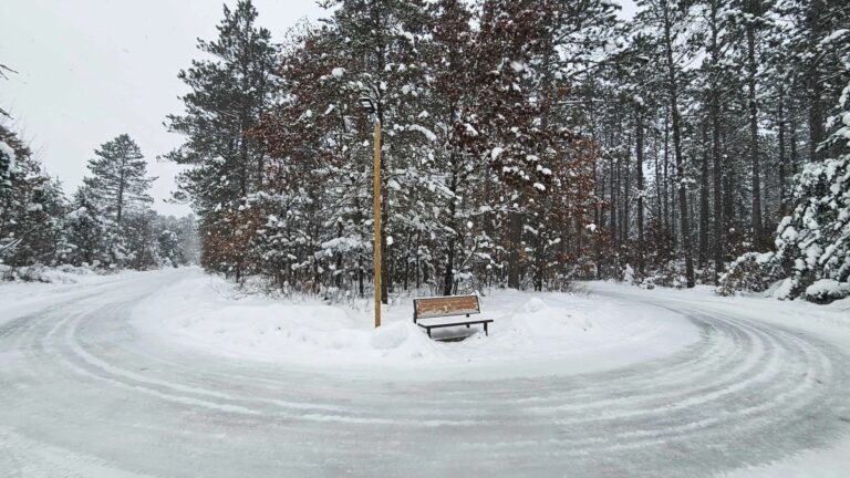 A wooden bench sits on a snowy island at the center of a circular, snow-covered road lined with tall, snow-covered trees.