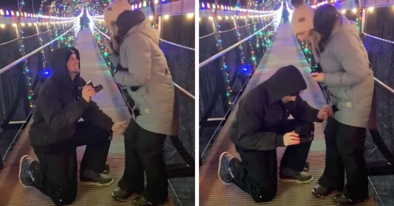 sky bridge proposal video