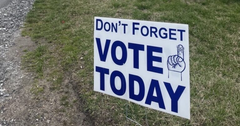 WNC has a primary election coming up. Here’s what you need to know