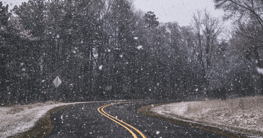 As winter storm bears down, free firewood is available in the Pisgah