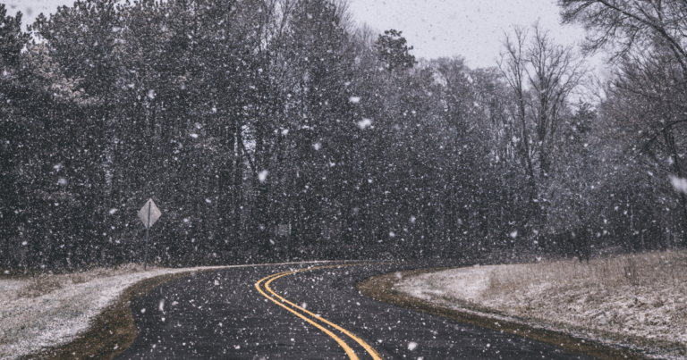 As winter storm bears down, free firewood is available in the Pisgah