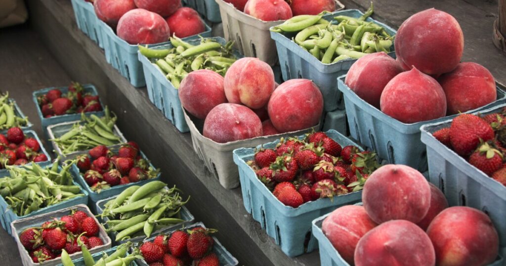 Gov. Stein calls on General Assembly to fund summer food program for kids