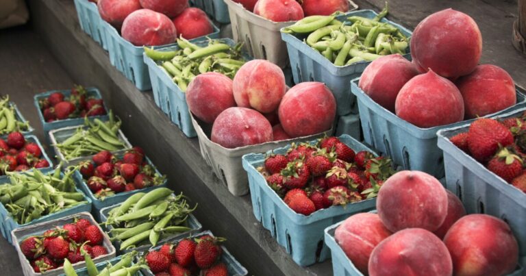 Gov. Stein calls on General Assembly to fund summer food program for kids