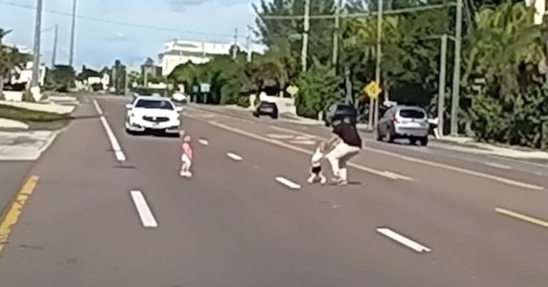 toddlers wandering on busy highway