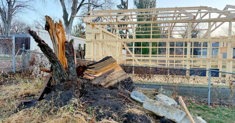 Strong winds broke records, along with trees, buildings and budgets, in Nebraska this year