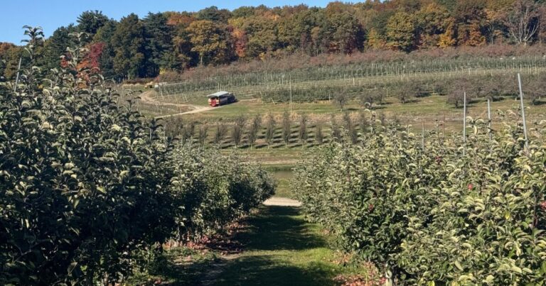 Penn State study finds melanoma ‘hotspot’ in central Pa. counties with or near cultivated farmland