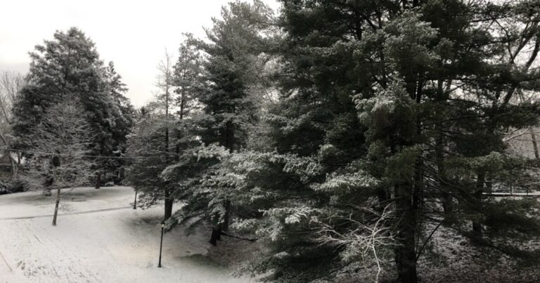 Winter storm warning in effect beginning Friday afternoon for WNC