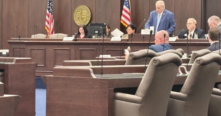 Asheville, Raleigh DEI efforts under microscope of NC House oversight panel